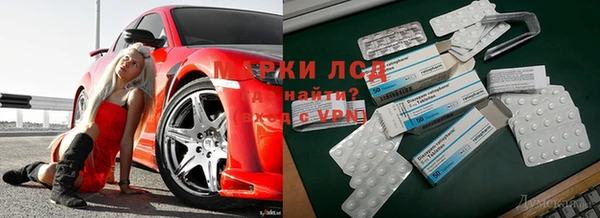 каннабис Белокуриха