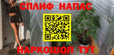 индика Гусиноозёрск