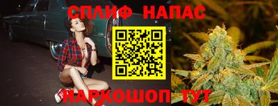 индика Гусиноозёрск
