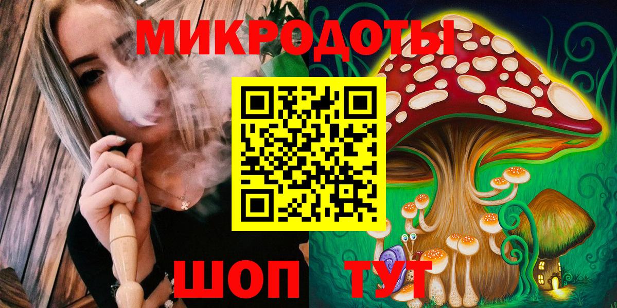 Псилоцибиновые грибы Psilocybine cubensis Лыткарино