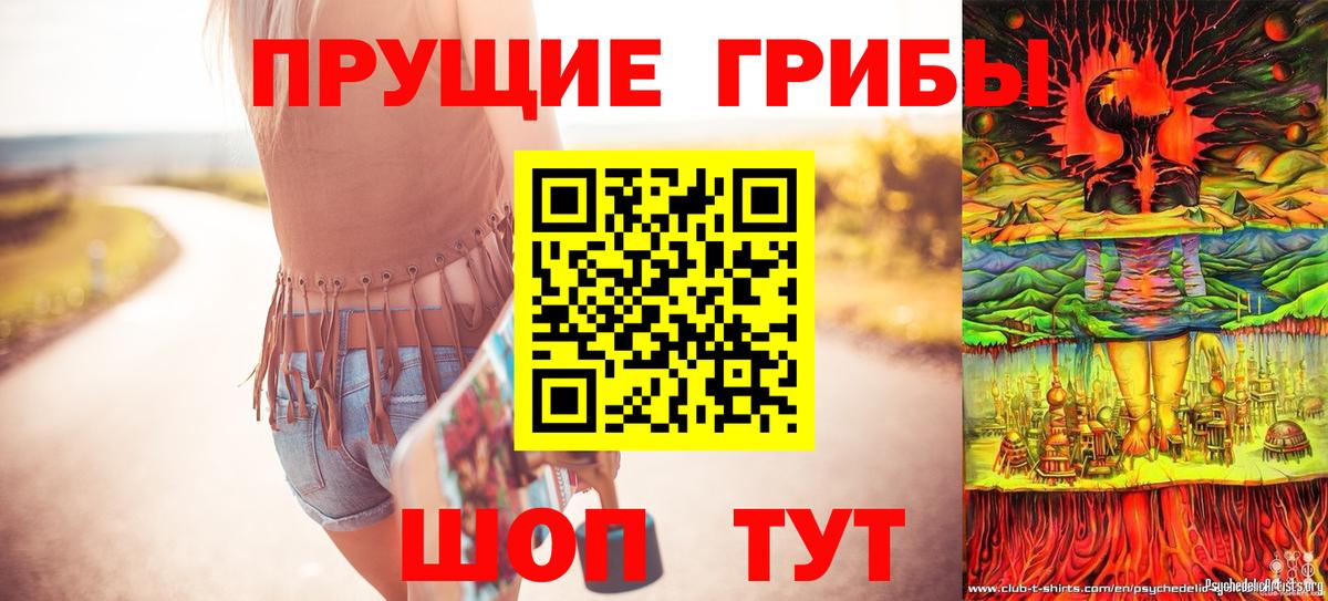 Лыткарино  Галлюциногенные грибы прущие грибы  Вход с VPN 